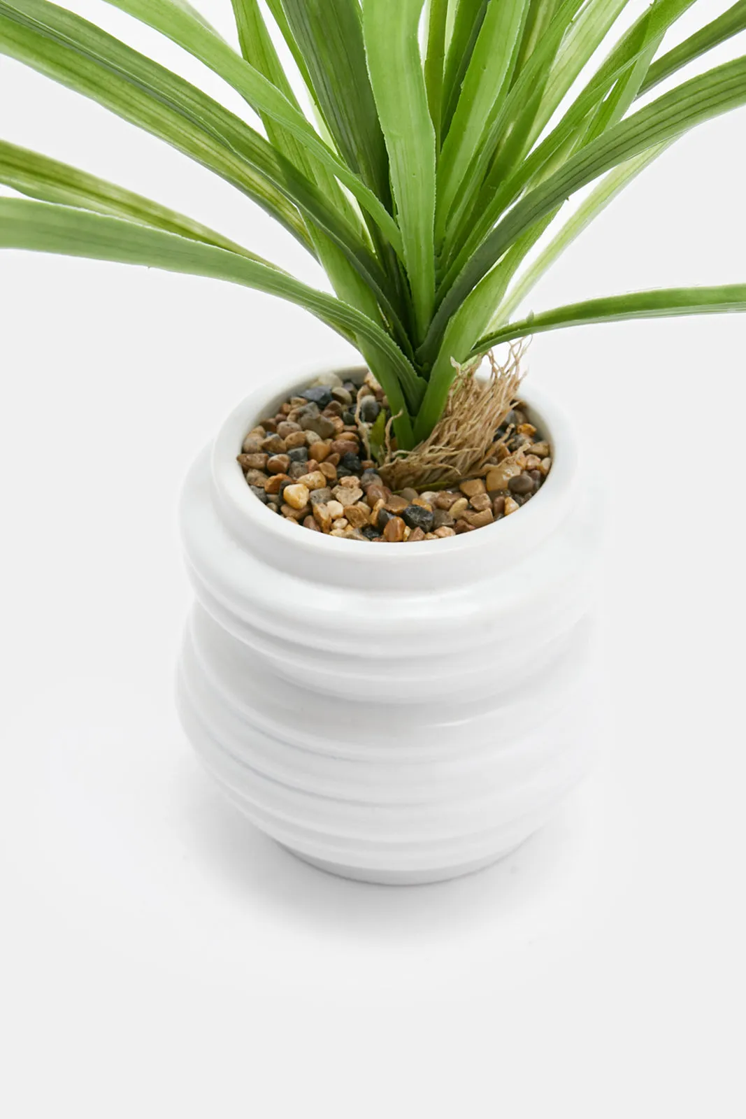 Artificial Plant In White Ceramic Pot