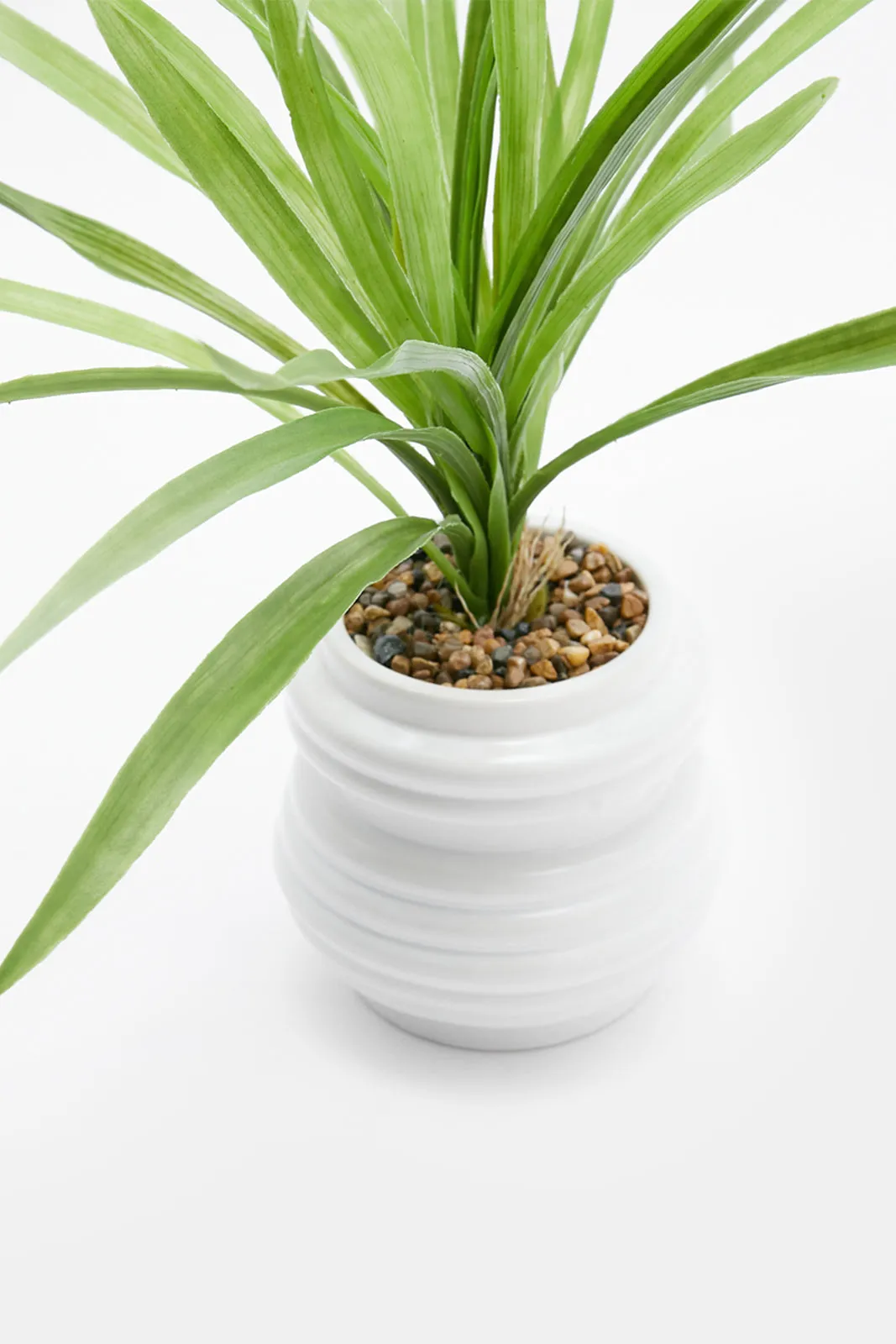 Artificial Plant In White Ceramic Pot