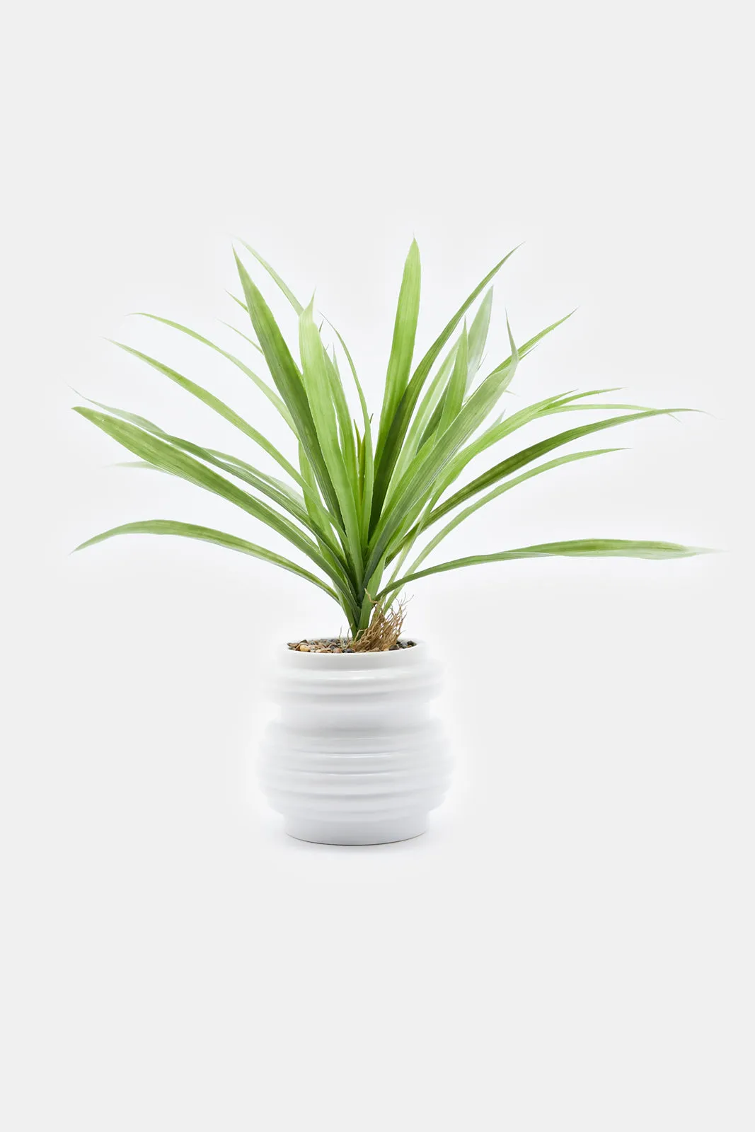 Artificial Plant In White Ceramic Pot