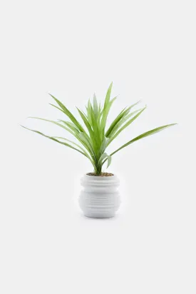 Artificial Plant In White Ceramic Pot