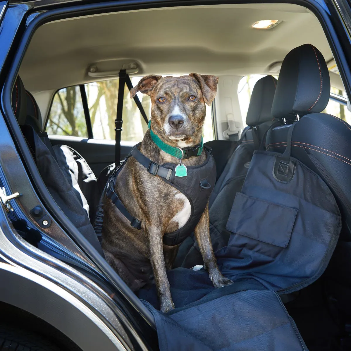 Car Seat Cover