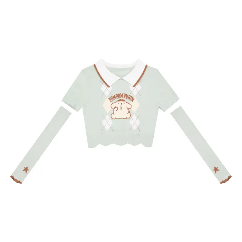 Cute Cropped Sweater PL52919