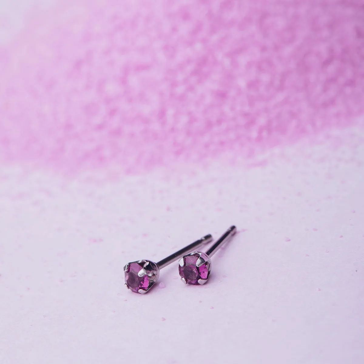 February Birthstone Stainless Steel Stud Earrings