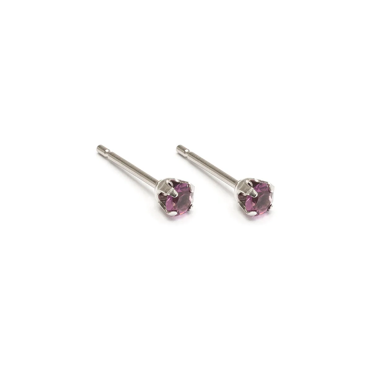 February Birthstone Stainless Steel Stud Earrings