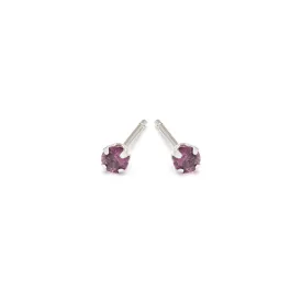 February Birthstone Stainless Steel Stud Earrings