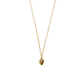 Precious Heart Necklace