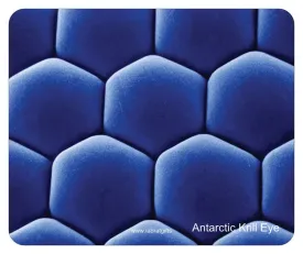 "Antarctic Krill Eye" - Mouse Pad